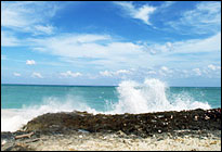 Bahamas MCSE Training