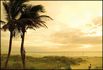 Florida MCSE Boot Camps