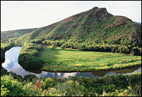 Hawaii MCSE Boot Camps