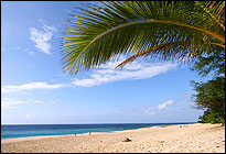 Hawaii MCSE Training
