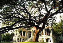 Texas MCSE Boot Camps