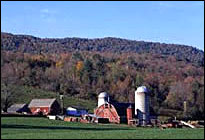 Montpelier MCSE Boot Camps