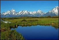 Wyoming MCSE Training